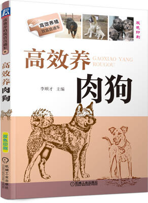 

高效养肉狗