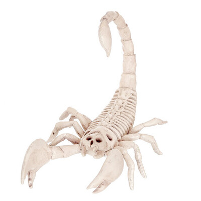 

UpperX Simulation animal skeleton model Scorpion skeleton Bone for Halloween party Bar decoration Scorpion skeleton