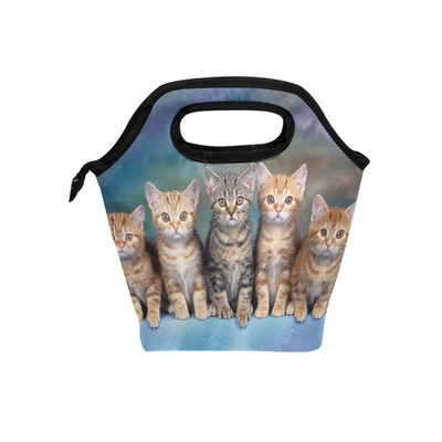 

Insulated Lunch Tote Bag Five Cat Travel Picnic Lunch Handbags Portable Zipper Lunch Bag Box