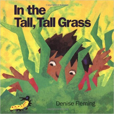 

In the Tall Tall Grass