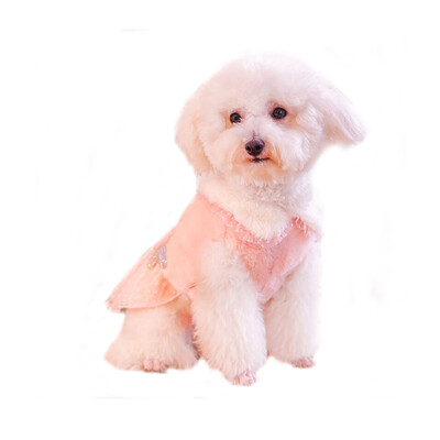 

Huayuan pets hoopet dog clothes small dogs than Xiong Bomei autumn&winter wear ladies princess lace skirt pet dress