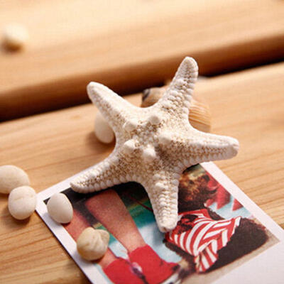

Womens Girls Fashion Elegant Pretty Natural Starfish Sea Star Hairpin Hair Clip