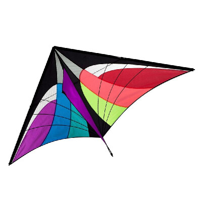 

160 x 90cm 63 x 355in Large Delta Kite Outdoor Sport Single Line Flying Kite