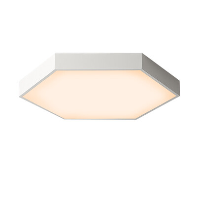 

JX277 - 24W - WW Warm White Ceiling Lamp AC 220V