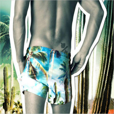 

Mens Swimwear Swimsuits Board Beach Wear Swim Trunks Underwear Boxer Shorts