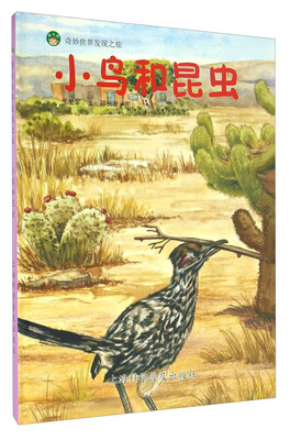 

小鸟和昆虫