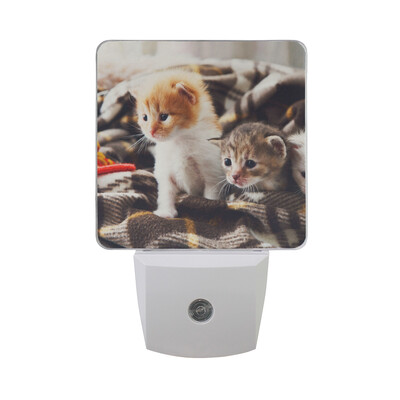

ALAZA LED Night Light With Smart Dusk To Dawn SensorCollage Of Cat Heads Plug In Night Light