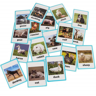 

18 pc-Farm Animals Flash Cards-English word learning card&pocket size flash card for Preschool children-English Vocabulary Cards