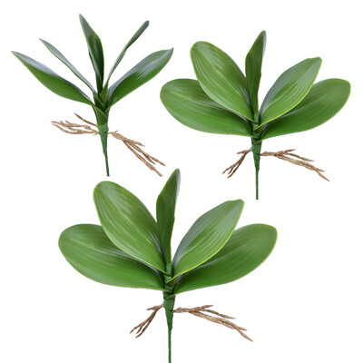 

UpperX Artificial flower leaves of Phalaenopsis moth orchid leaf green green 1 bundle