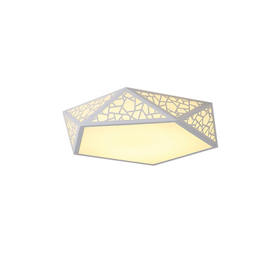 

JX208 - 36W - WW Warm White Ceiling Lamp AC 220V