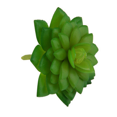 

Искусственный Mini Пластиковые Миниатюрные Суккуленты Растения Art Garden Home Decor