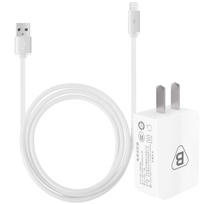 

BIAZE Apple 8/7/6 кабель для передачи данных 1 м серебро + 5 В / 2 А мобильный телефон / плоская панель зарядное устройство iPhone5 / 6s / 7 Plus / 8 / X новый iPad Air Mini костюм M2 + K3