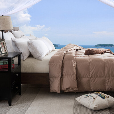 

[Супермаркет] Hong Run Jingdong элегантный ребенок 90% из мягкого сердечника текстильной кондиционер тонких одеял зажигать кофе цвета белых заправочное одеяла количество прохладно летом одеяло 0.19kg 150 * 200см