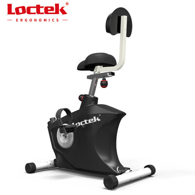 

Loctek U2 Exercise Upright Magnetic Recumbent Bike with Back Rest
