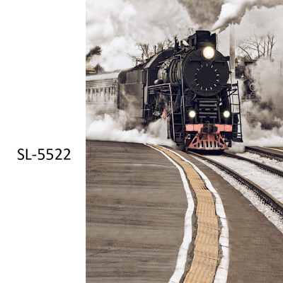 

Romantic Photo Background Paper Photography Background Cloth Vinyl Photograph Photos Studio Props