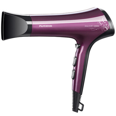 

FLYCO Electric hair drier High power negative ion 2000W household