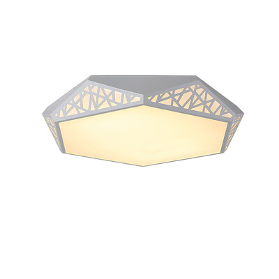 

JX212 - 24W - WW Warm White Ceiling Lamp AC 220V