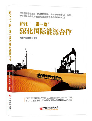

依托“一带一路”深化国际能源合作