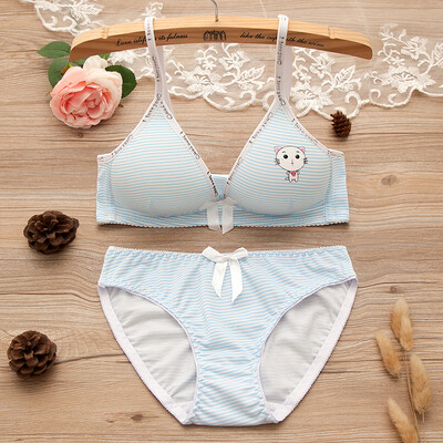 

LAXJOY Langyue 2018 bra set triangle cup small chest cute sexy girl high school development period underwear bra LNWXT189403 sky blue 3885