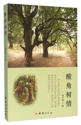 

酸角树情