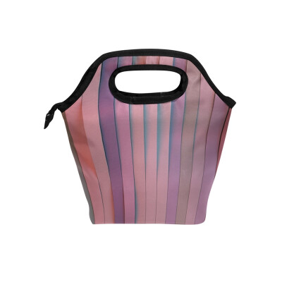 

Lunch Bag Tote Bag Colorful Stripe Travel Picnic Organizer Lunch Holder Handbags Lunch Bag Box