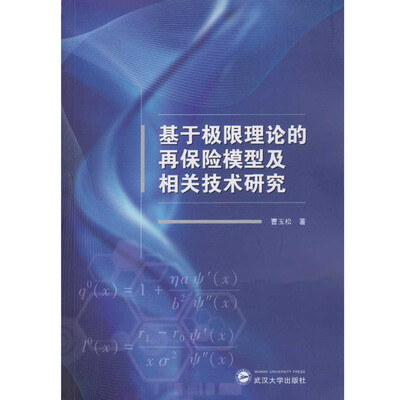 

基于极限理论的再保险模型及相关技术研究