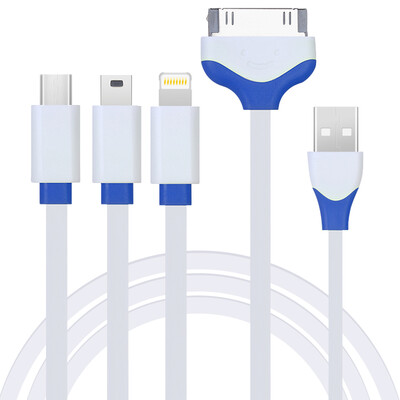 

Capshi 4-in-1 Micro USB Mini USB Lightning 8 pin Apple 30 pin charging cable