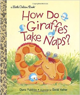 

How Do Giraffes Take Naps