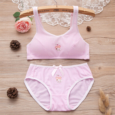 

LAXJOY Langyue 2018 sexy small chest tube top girl bra cotton comfortable no steel ring student underwear panty suit anti-light LNWX189407 pink X2 3885