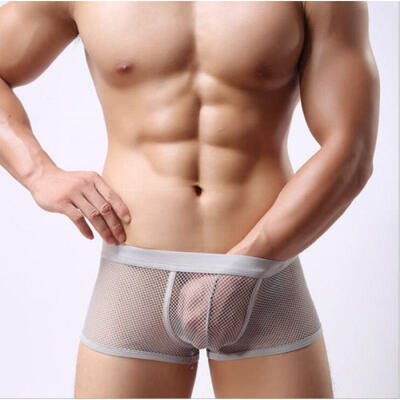 

USA Mens Mesh Thong Trunks Briefs G-string Transparent Underwear Underpants