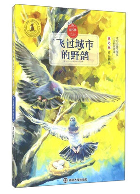 

飞过城市的野鸽