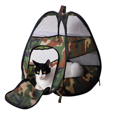 

Tada cats pink single layer spiral cat tunnel plus Fibu Pu blue cat kitten supplies