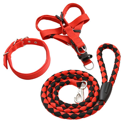 

Parrot dog chain dog rope small dog medium dog large dog pet dog leash dog hyena rope with chest strap collar gold hair Teddy dog chain red black three-piece set