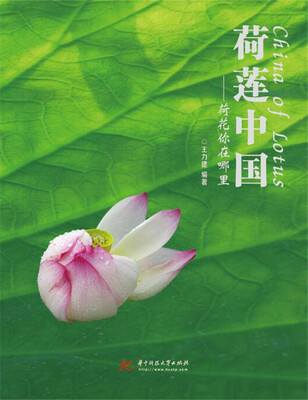 

荷莲中国：荷花你在哪里