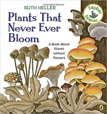 

Plants That Never Ever Bloom