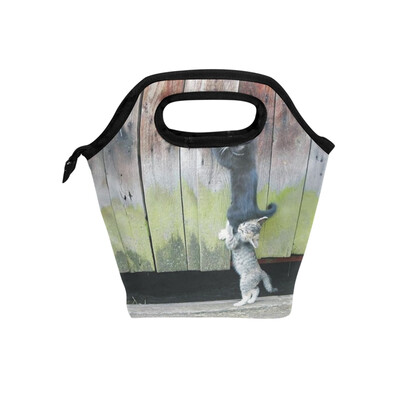 

Insulated Lunch Tote Bag Two Cat Travel Picnic Lunch Handbags Portable Zipper Lunch Bag Box
