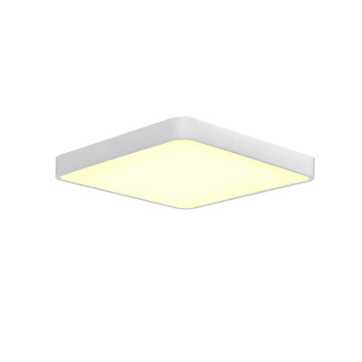 

JX231 - 40W - WJ Promise Dimming Ceiling Lamp AC 220V