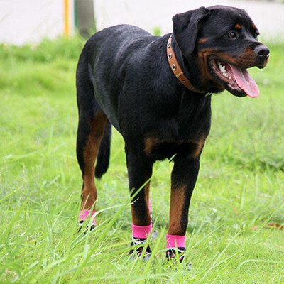 

Dog Socks Anti Slip with Straps Traction Control