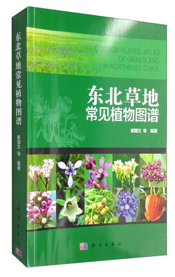 

东北草地常见植物图谱