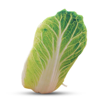 

UpperX Creative Kawaii Toys 3D Simulation Vegetable Cabbage Pillow Office Sofa Cushion Velvet Fruit Vegetables Plush Toys