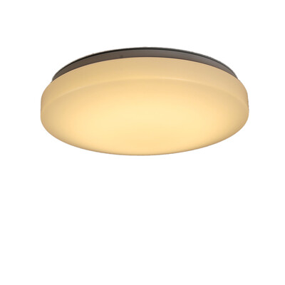 

X002 - 12W - 3S Dimmable Ceiling Lamp AC 220V
