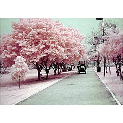 

UpperX DIY Unframed Digital Oil Painting By Numbers Autumn Trees Pattern On Cloth Print Decor Art Paintings For Home Office