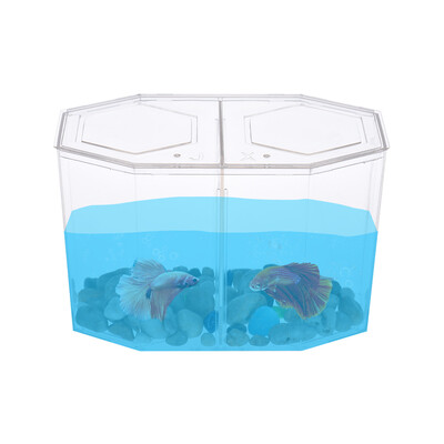 

Small Fish Tank Aquarium Betta Box Breeder House with Divider Acrylic Transparent