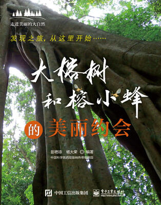 

大榕树和榕小蜂的美丽约会