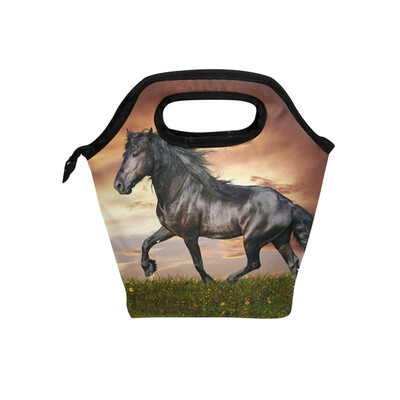 

Lunch Tote Bag Running Horse Travel Picnic Insulated Lunch Handbags Portable Zipper Lunch Bag Box