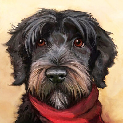 

UpperX DIY Dog Diamond Painting Kit 5D Full Of Diamond Painting By Kits Home Decoration Gifts 30X30Cm