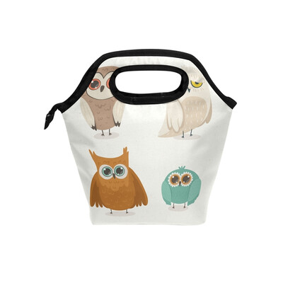 

Lunch Tote Bag Qwl Party Travel Picnic Insulated Lunch Handbags Portable Zipper Lunch Bag Box