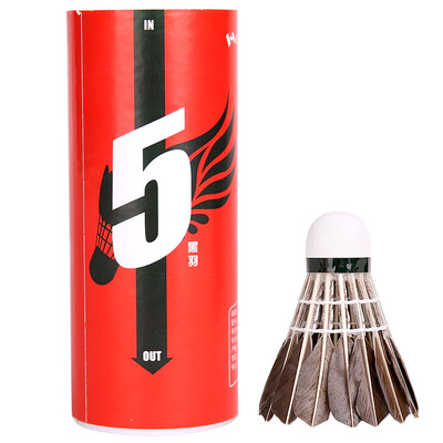 

CnsTT Гусиное перо бадминтон （Три загрузка）