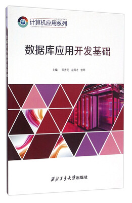 

数据库应用开发基础