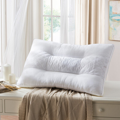 

LUOLAI LOLI Home Textiles Pillow Cassia Herbal Pillow 47 73